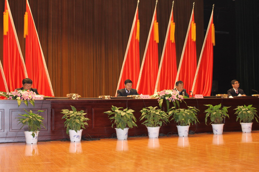 江蘇省金陵建工集團生產工作暨2011年總結表彰大會